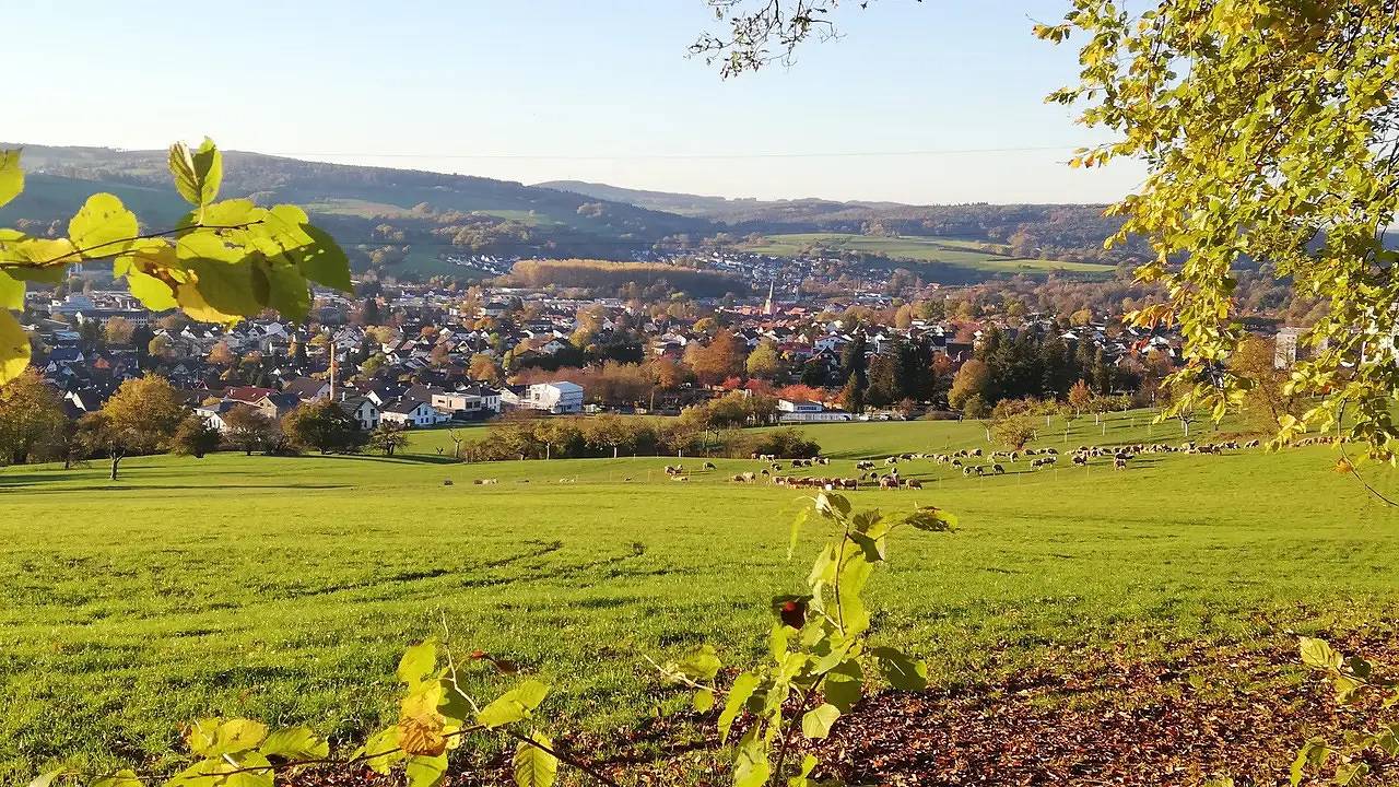 Ganze Ferienwohnung, Ferienwohnung für 2 Personen (52 m²) in Michelstadt in Michelstadt, Main-Odenwald