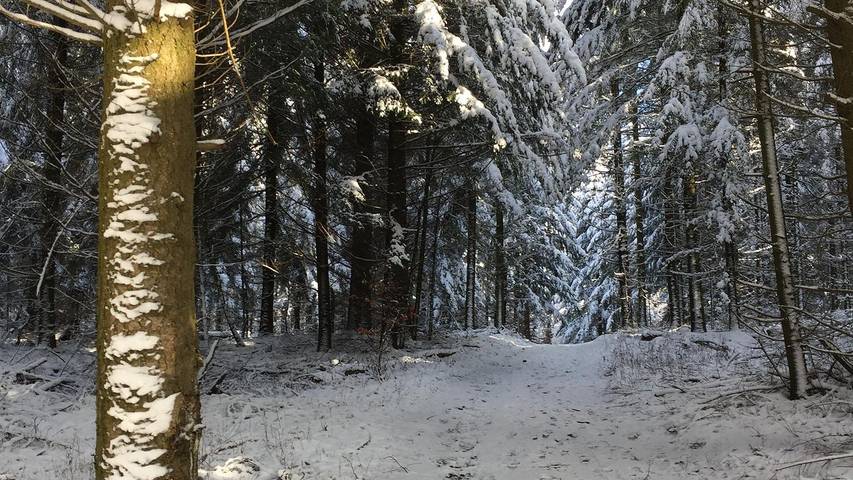 Ferienwohnung für 2 Personen, mit Terrasse im Hunsrück - 4