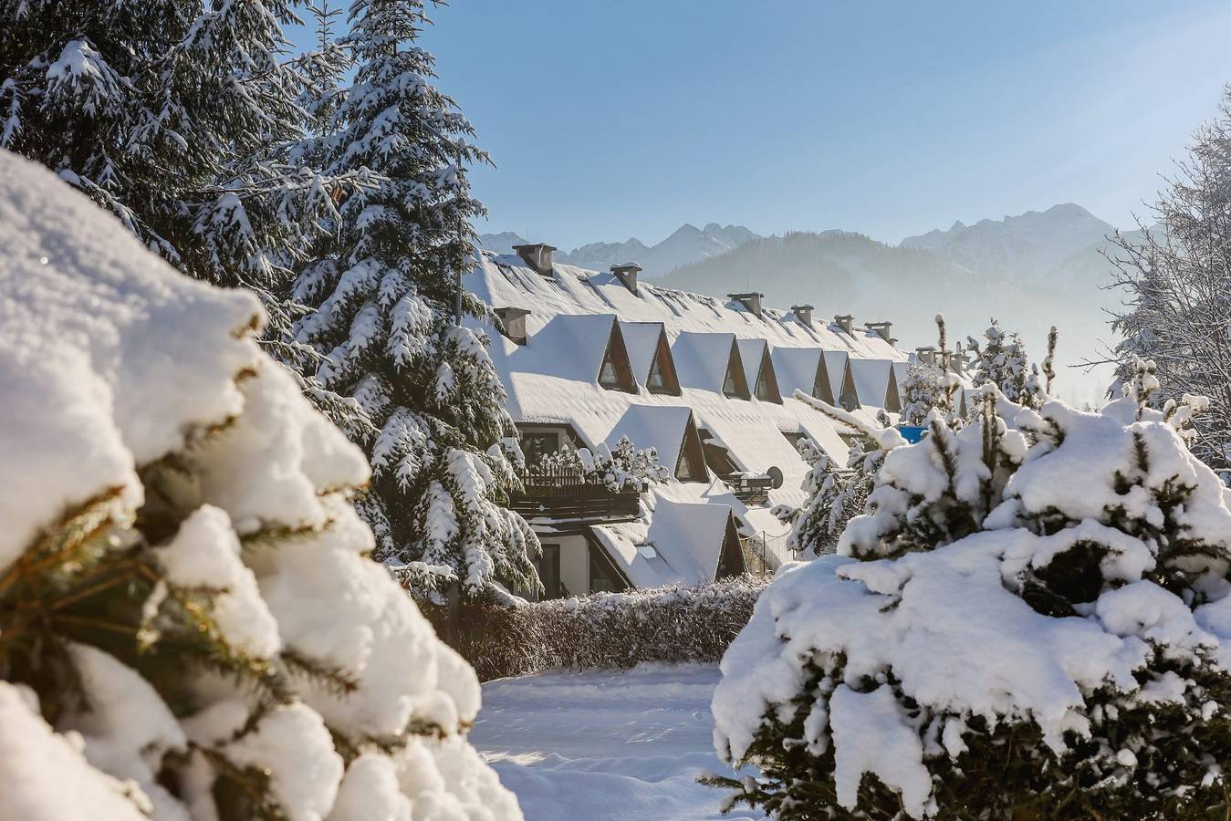 Ganze Wohnung, Family Apartment | Mountain View and Close to Trails in Zakopane, Karpaten (Polen)