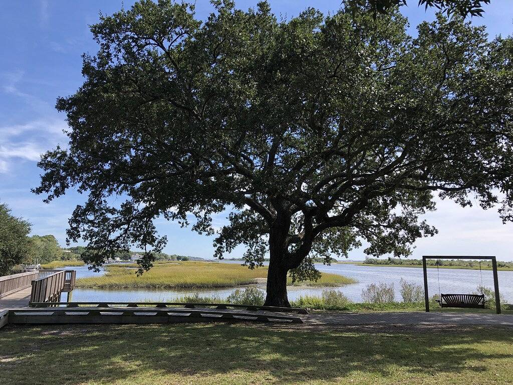 Ganze Wohnung, Sea Trail 2Br - Golf, Bike, Beach Getaway! Clean, Quiet, Pools, Great View! in Sunset Beach (NC), Brunswick County