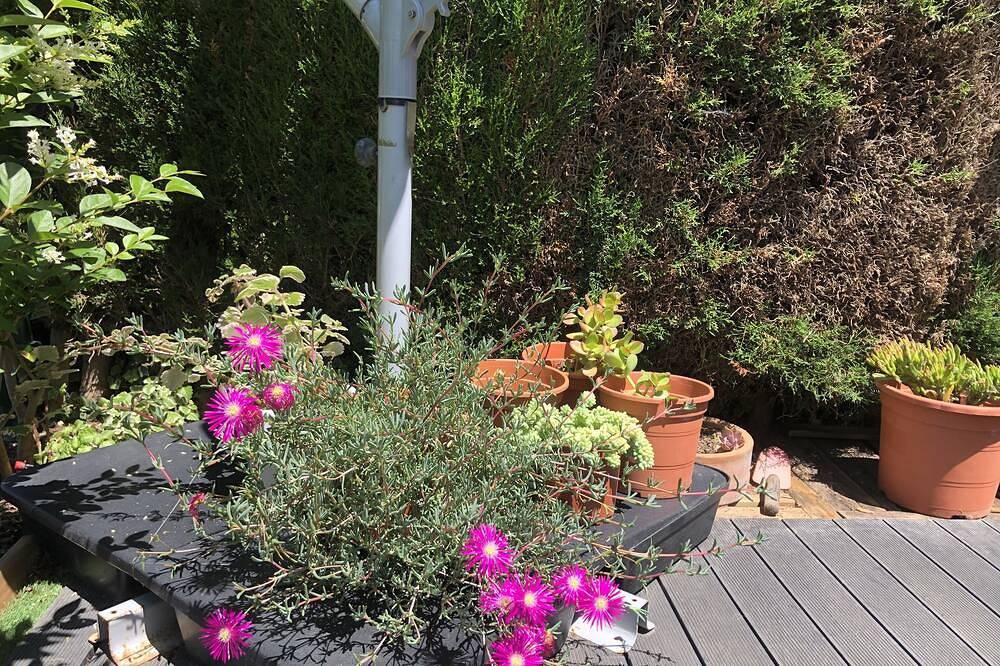 Excelente casa con jardín, piscina. 6-8 personas,wifi gratis. Impecable in Costa Ballena, Rota 