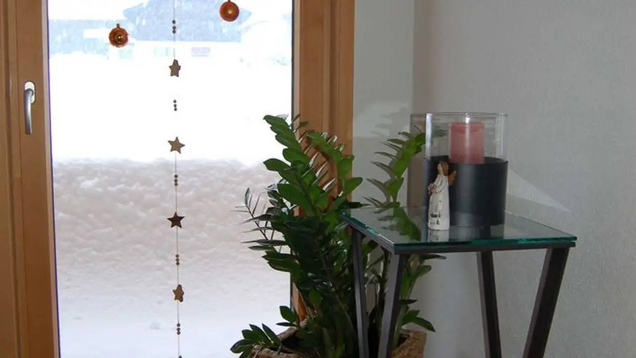 Geheel vakantieappartement, Ferienwohnung für 4 Personen (55 m²) in Schoppernau in Schoppernau, Bregenzerwoud