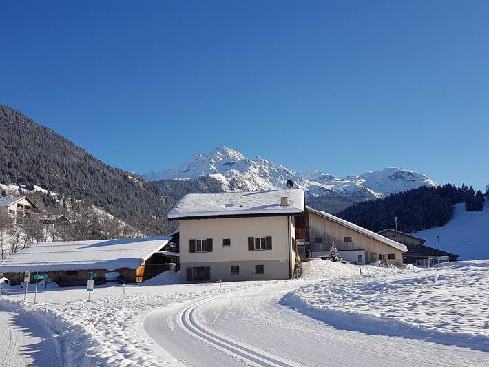 Ganze Ferienwohnung, Bauernhof Sot Curtegns - 3.5 Zimmerwohnung - 6 Betten in Surses, Oberhalbsteiner Alpen