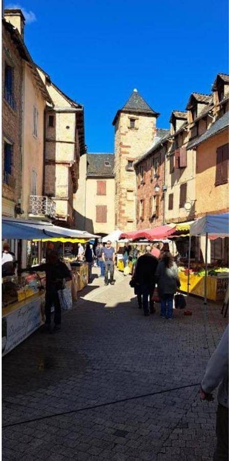 Location de vacances pour 9 personnes, avec terrasse et piscine ainsi que jardin et vue, animaux acceptés à Banassac - 4