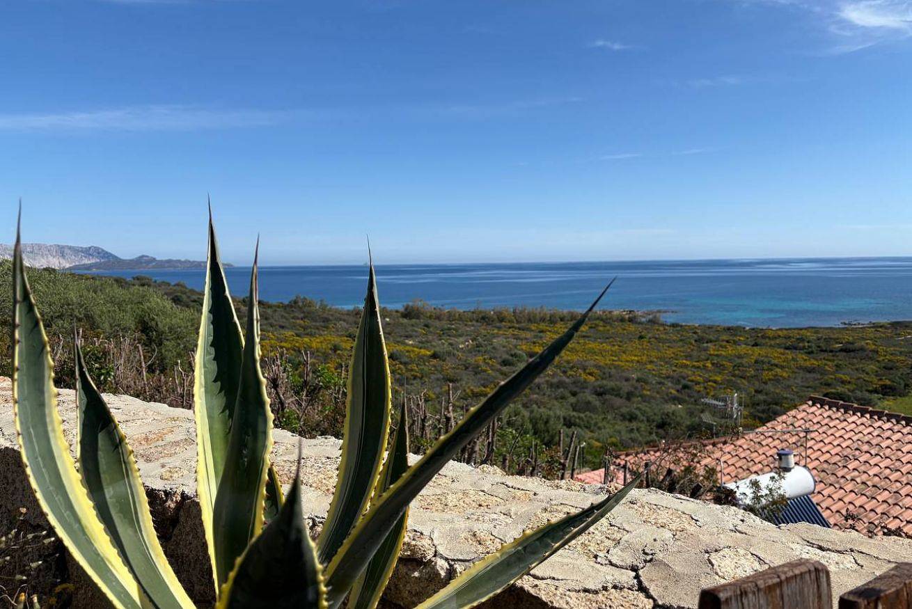 Ganze Wohnung, Casa Costa in Lu Miriacheddu, San Teodoro