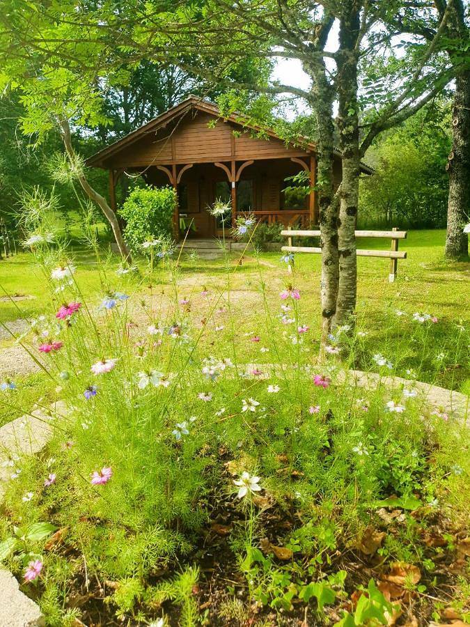 Location de vacances pour 6 personnes, avec jardin ainsi que vue sur le lac et piscine, animaux acceptés à Saint-Rémy (Dordogne)