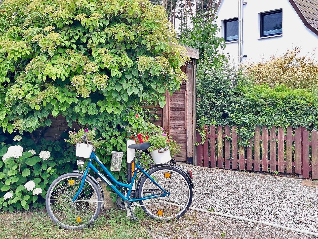 Ferienhaus Borgwall - 50 Meter vom See in Krakow am See, Mecklenburgische Seenplatte