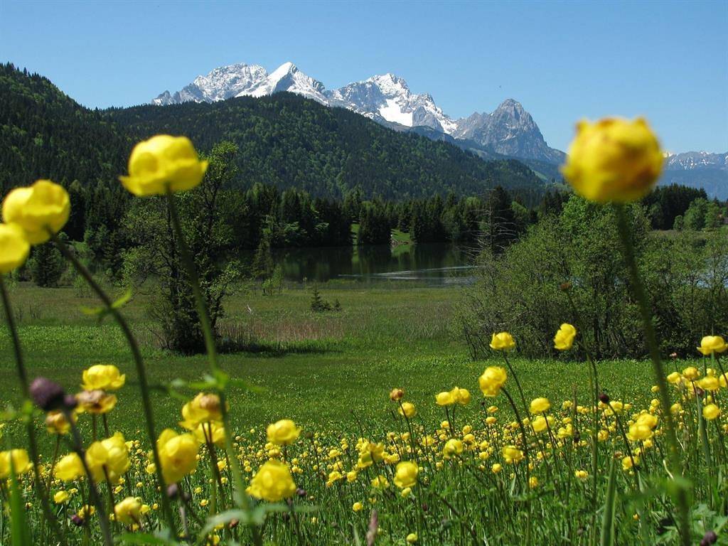 Ganze Ferienwohnung, "Herzogstand" Fewo/1 Schlafraum/Dusche Wc in Krün, Bayerische Alpen