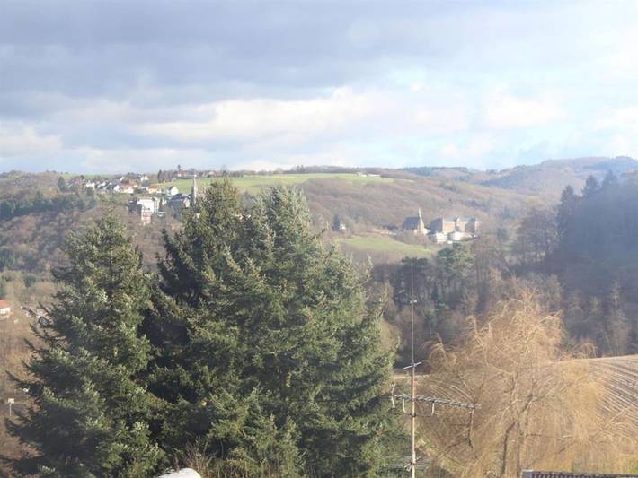 Ganze Ferienwohnung, Ferienwohnung am Waldesrand - Appartement/Fewo, Dusche und Bad, Wc, 1 Schlafraum in Reuschenbach, Hausen (Wied)