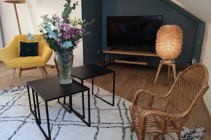 Entire apartment, \"Happy Cocoon\" - Immersion in the historic center in Blois, Blois region