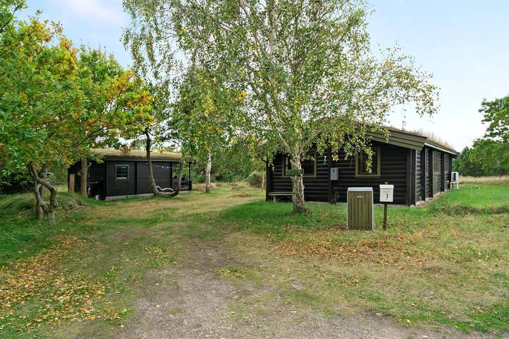 Ferienhaus mit Meerblick für 6 Personen, mit Terrasse auf Læsø - 4