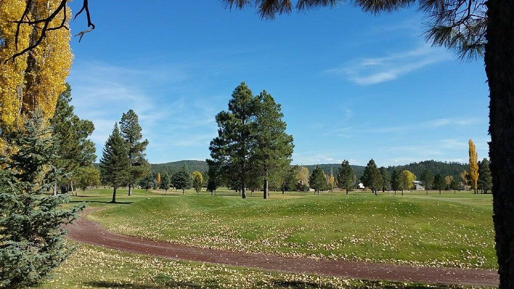 Ren Retreat- einen erholsamen Familien Hütte in der Nähe, Flagstaff, Sedona, Grand Canyon in Munds Park, Oak Creek Canyon