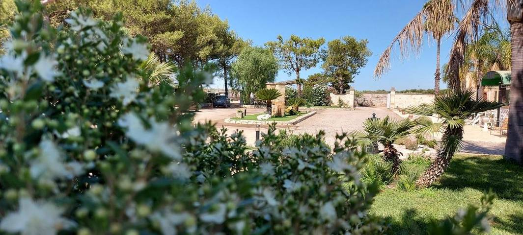 Location de vacances pour 3 personnes, avec vue et jardin à Torre Santa Susanna - 4