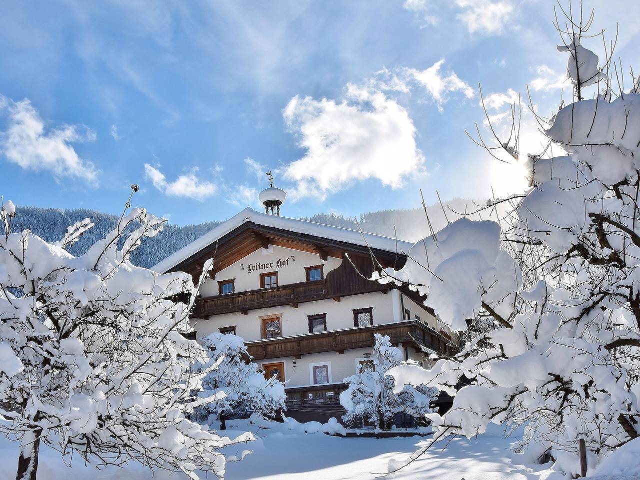 Ganze Ferienwohnung, Leitnerhof - Leitnerhof Appartement Linde 30 m² in Hopfgarten im Brixental, Kaisergebirge