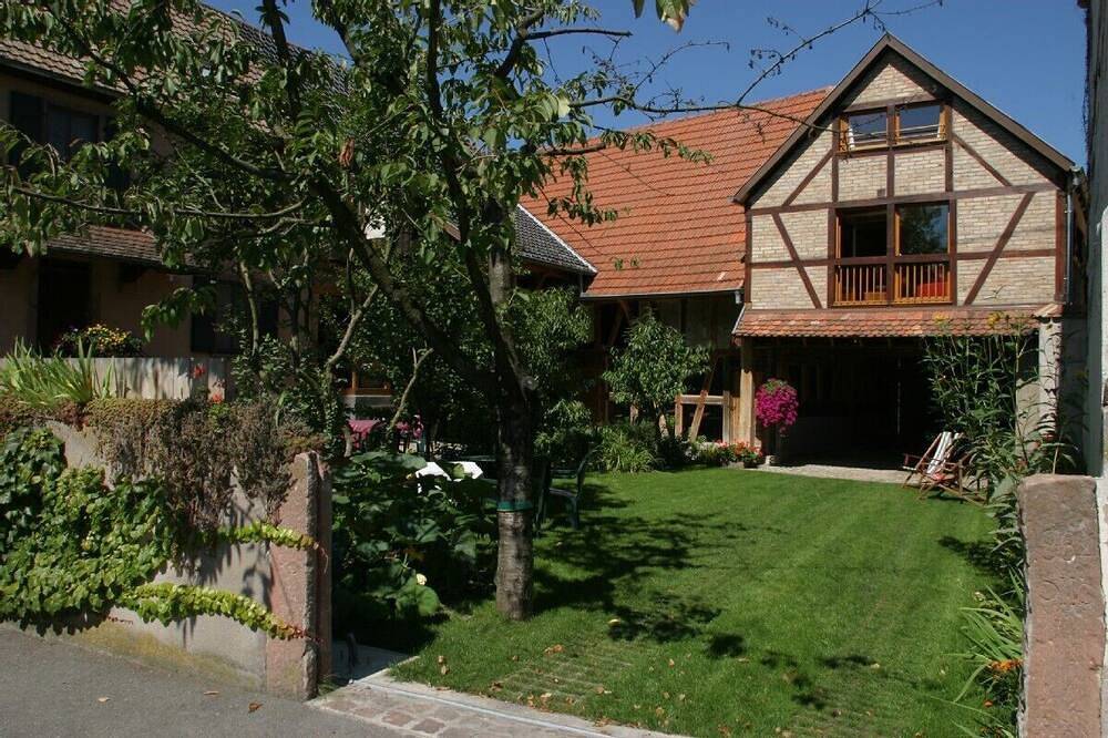 Au coeur de l'Alsace entre Rhin et Vosges. Entre Colmar et Strasbourg in Baldenheim, Région de Sélestat-Erstein