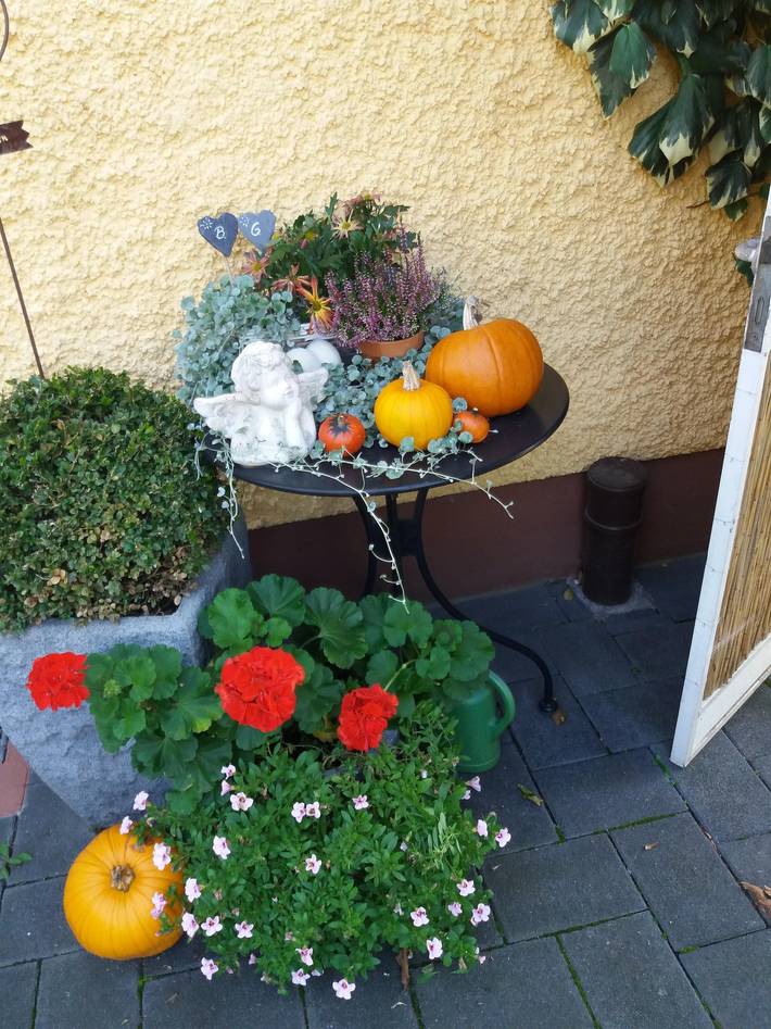 Ferienwohnung für 2 Personen, mit Garten und Terrasse an der Mosel - 2