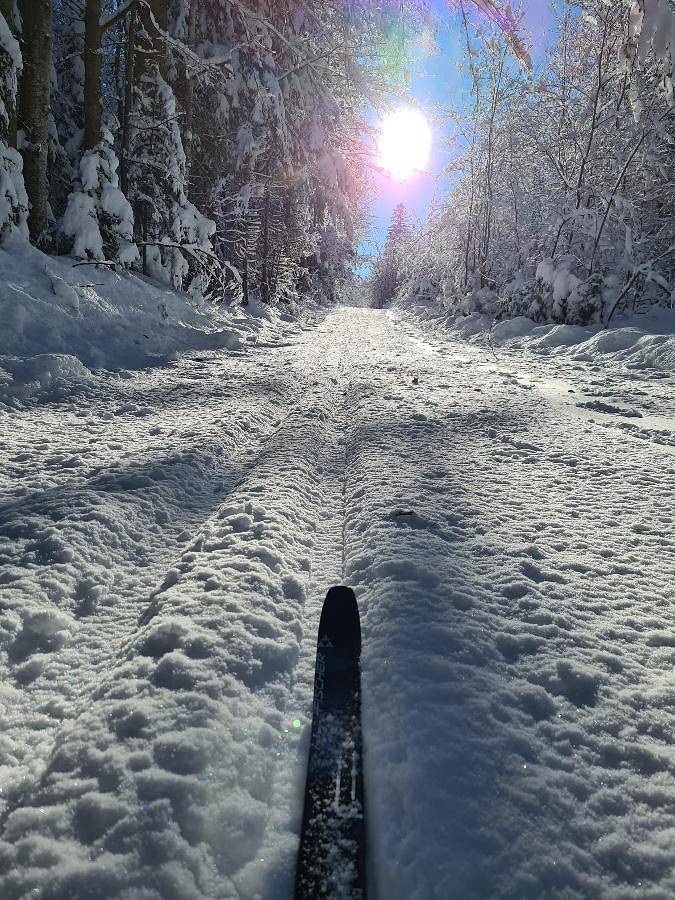 Ferienchalet zum Lusen - Ferienchalet in Sankt Oswald-Riedlhütte, Ostbayern