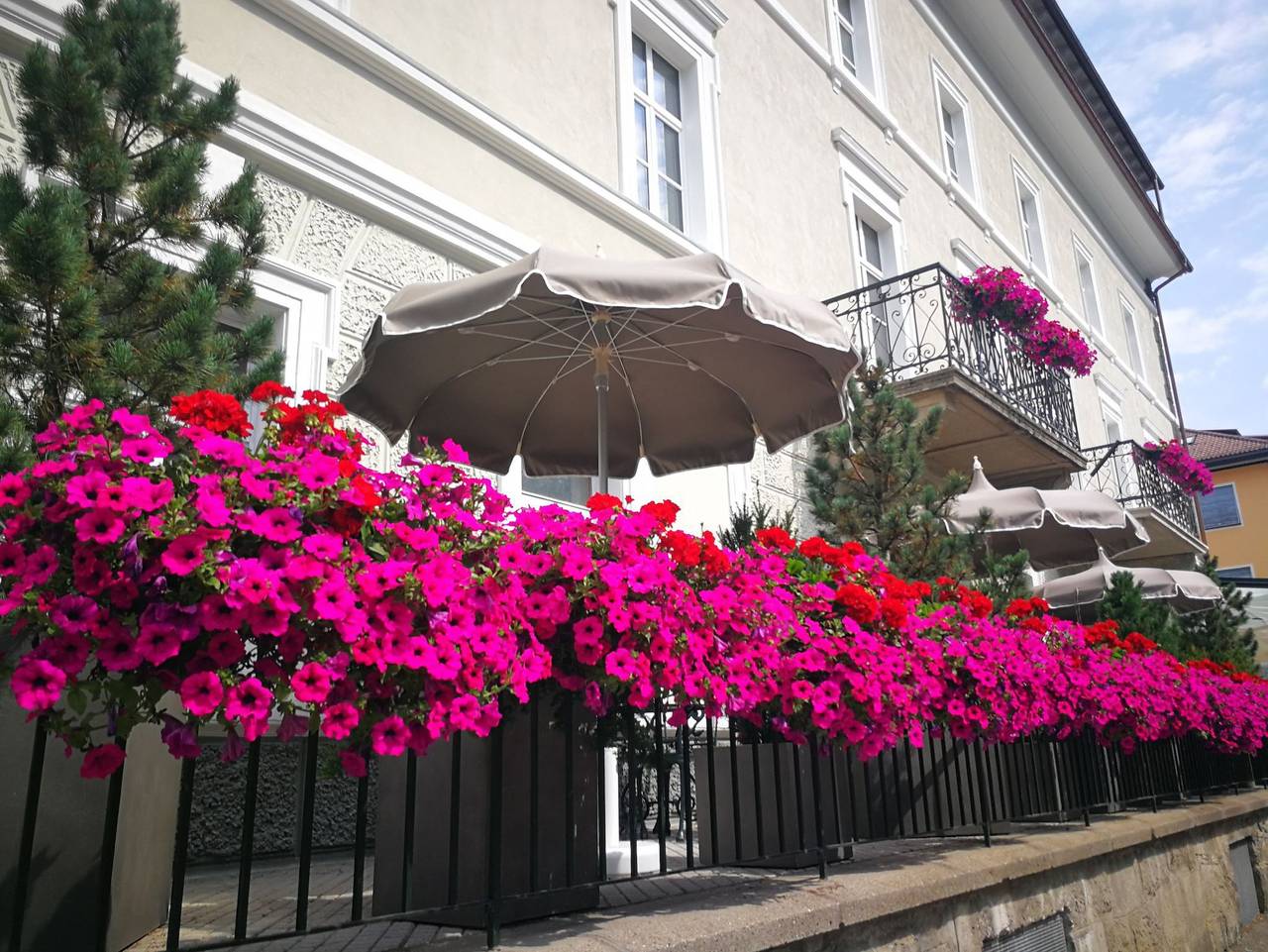 Ganze Ferienwohnung, Hotel Bruneck - Apartsuite Therese in Bruneck, Östliche Dolomiten