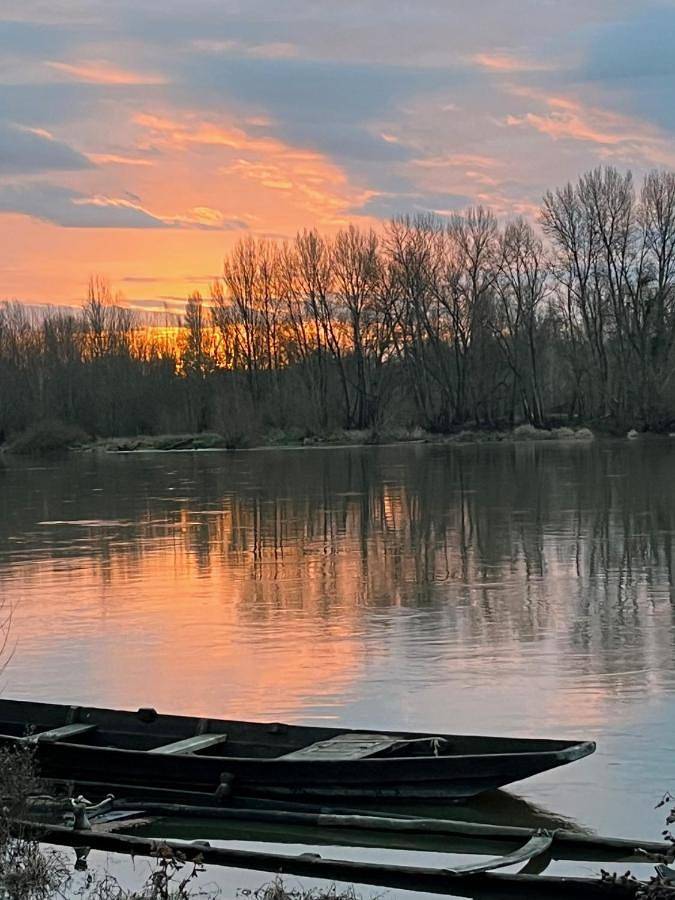 Location de vacances pour 4 personnes, avec Terrasse et Jardin dans Coteaux sur Loire - 3