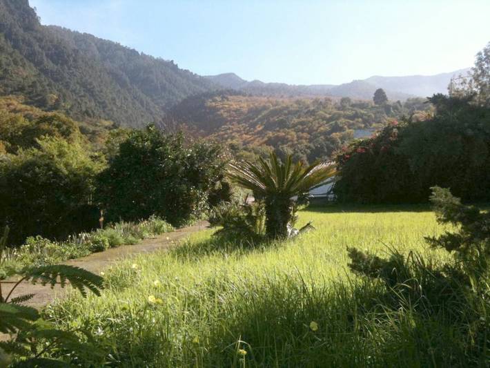 Casa rural para 6 personas, con jacuzzi y jardín en La Orotava - 4