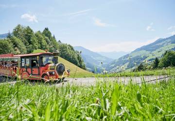 Vacation Rental for 5 Guests in Au, Lechquellengebirge, Picture 1