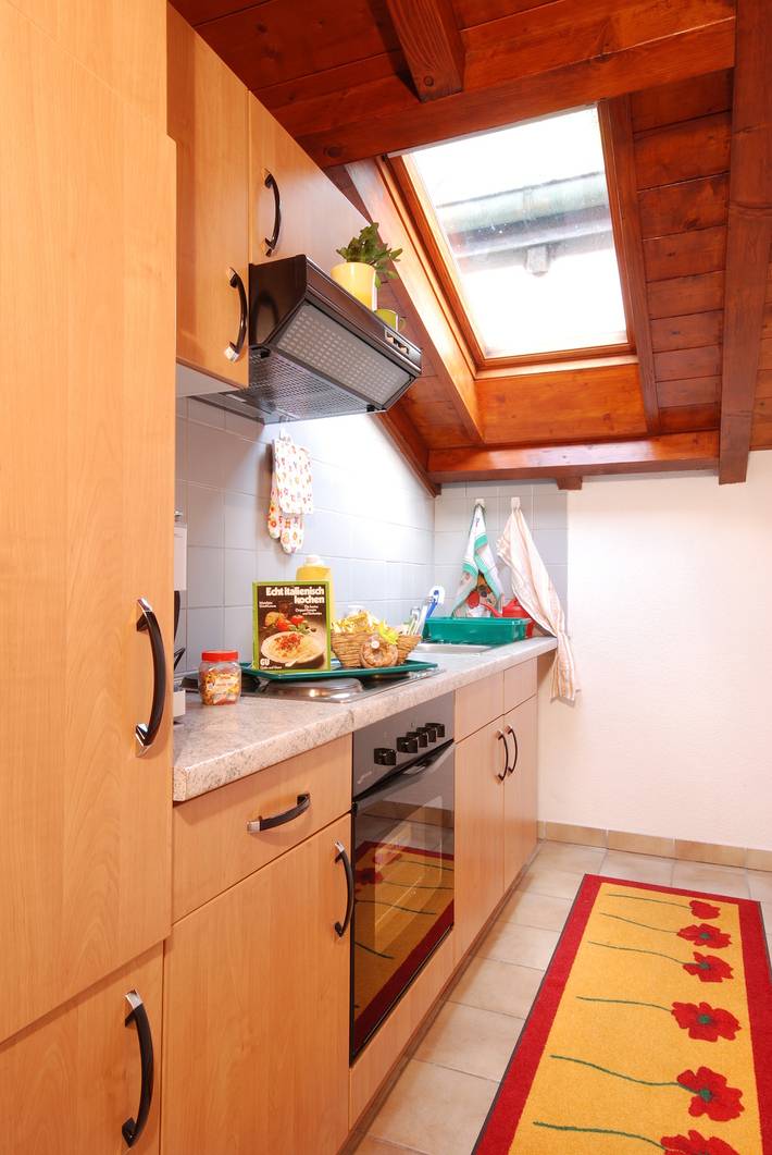 Ganze Ferienwohnung, Allegria in Gambarogno, Lago Maggiore (Schweiz)