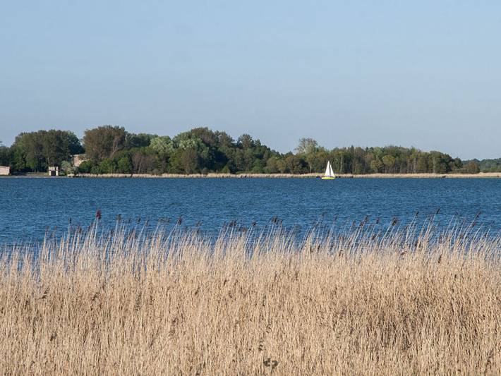 Ferienhaus für 4 Personen, mit Garten und Terrasse, kinderfreundlich in Ribnitz-Damgarten - 4