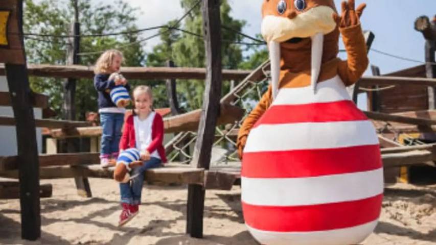 Ferienpark für 4 Personen, mit Terrasse und Pool in Sachsen - 3