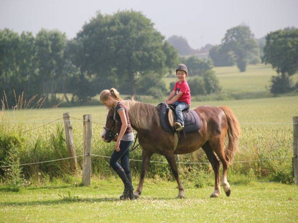 Ferienhof Börsby - Hofblick in Geltinger Birk, Kronsgaard