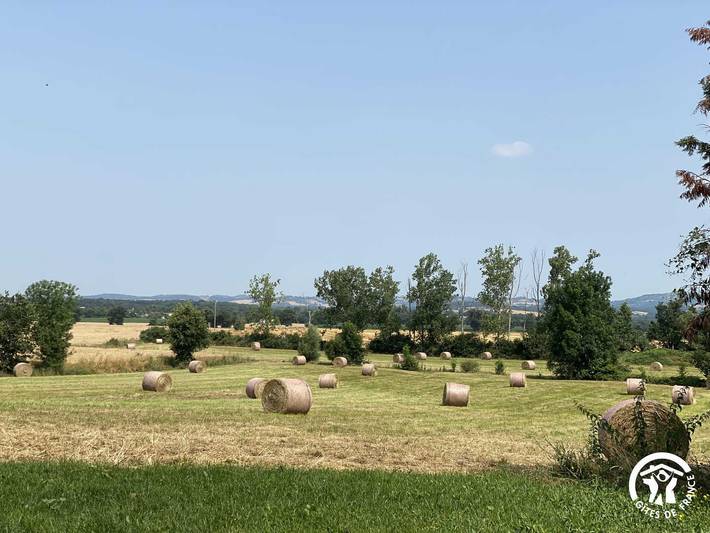 Gîte pour 14 personnes dans le Tarn - 3