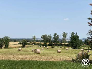 Gîte pour 14 Personnes dans Garrevaques, Région de Castres, Photo 2