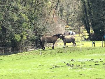 Finca voor 10 Personen in Rollainville, Neufchâteau (Frankrijk), Afbeelding 3