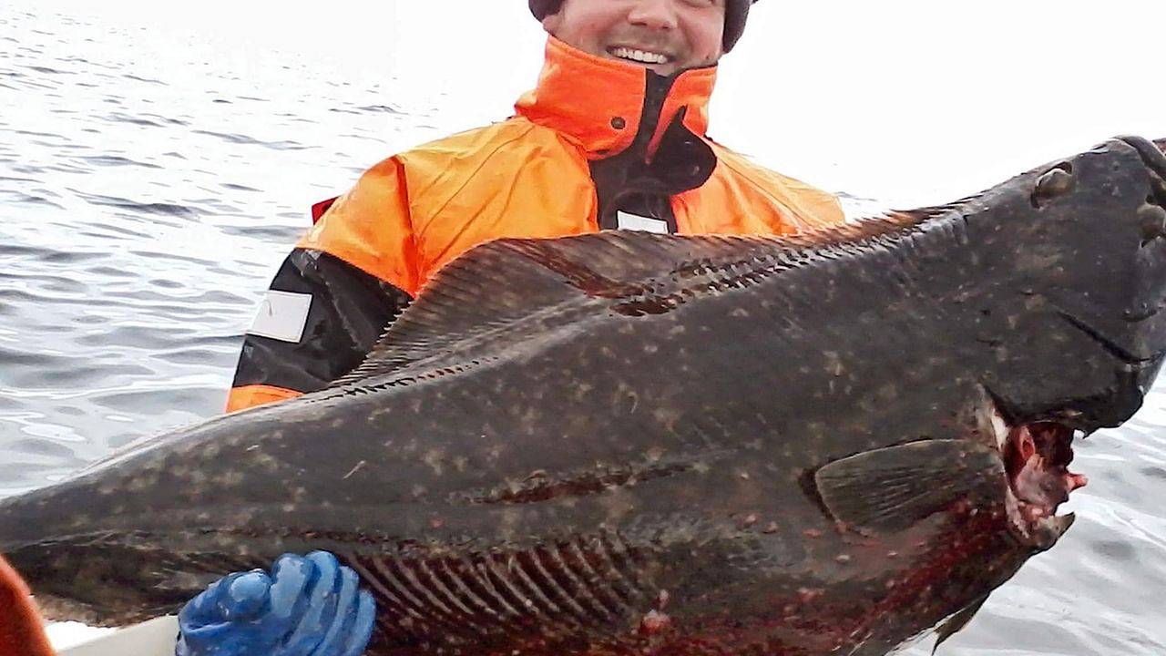 Ferienhaus für 8 Personen (120 m²) in Arnøyhamn in Skjervøy (municipio)