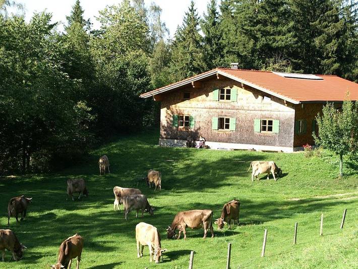 Ferienhaus für 4 Personen, mit Terrasse und Garten sowie Sauna im Oberallgäu - 2