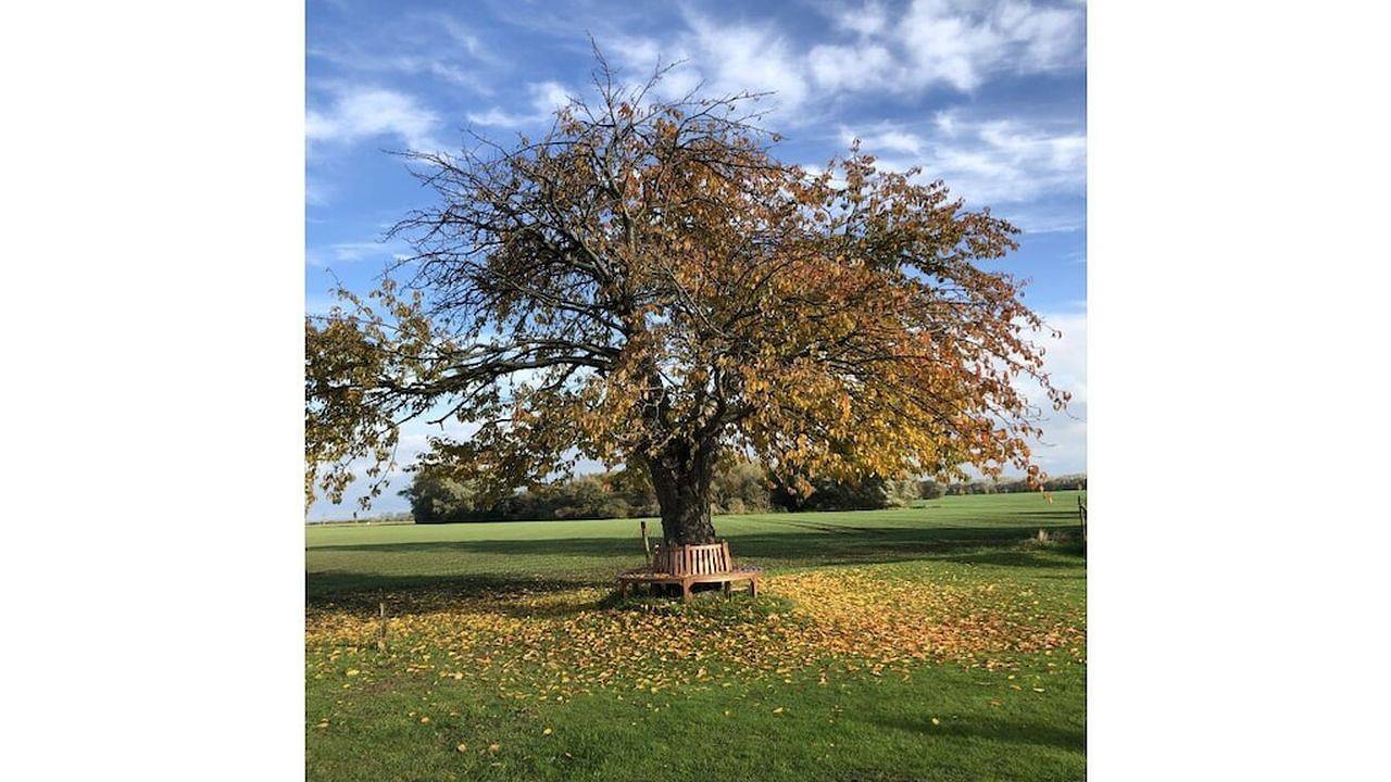 Apartamento vacacional entero, Ferienwohnung für 4 Personen (140 m²) in Ummanz in Ummanz, Rügen