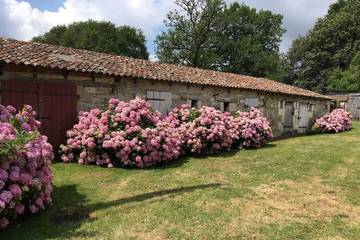 Location de vacances pour 8 personnes, avec jardin et terrasse à Dienné