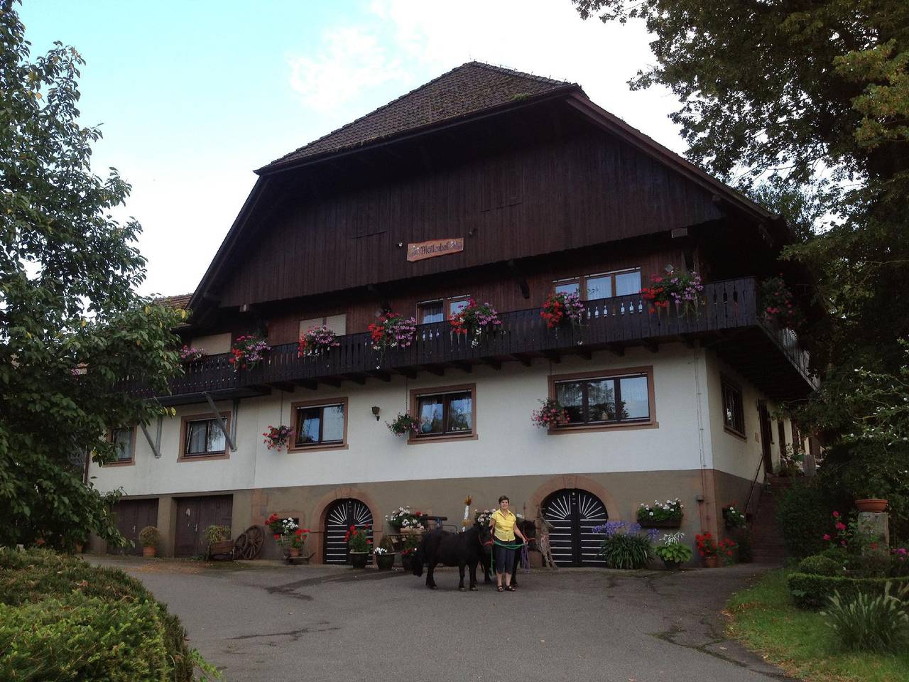 Ganze Ferienwohnung, Appartement "Fuchsbau" mit Balkon in Unterharmersbach, Zell am Harmersbach