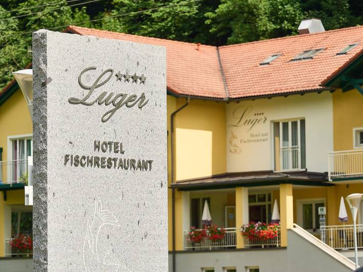 Gasthof-Pension Luger - am Donauradweg, Donausteig - Einzelzimmer, Dusche, Wc in Neustift im Mühlkreis, Bezirk Rohrbach