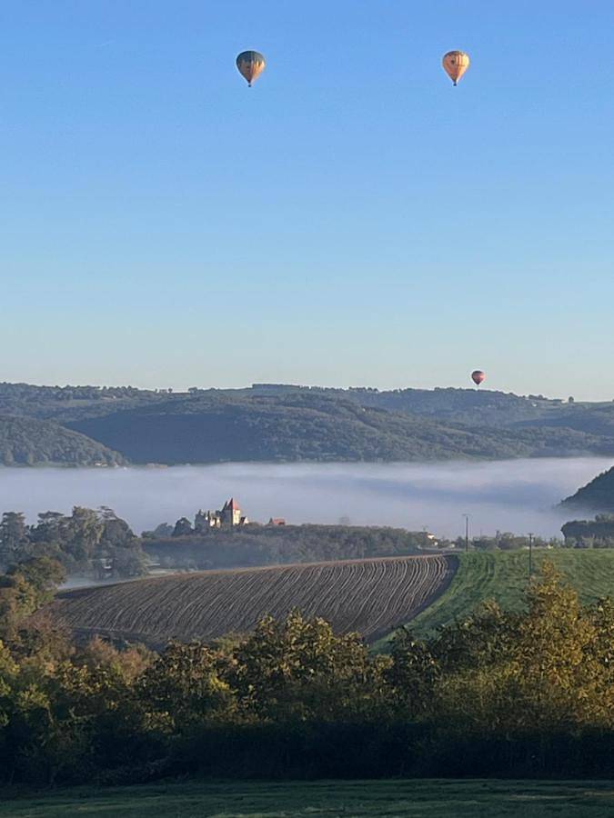 Location de vacances pour 10 personnes, avec piscine ainsi que vue et jardin, animaux acceptés à Veyrines-de-Domme - 2