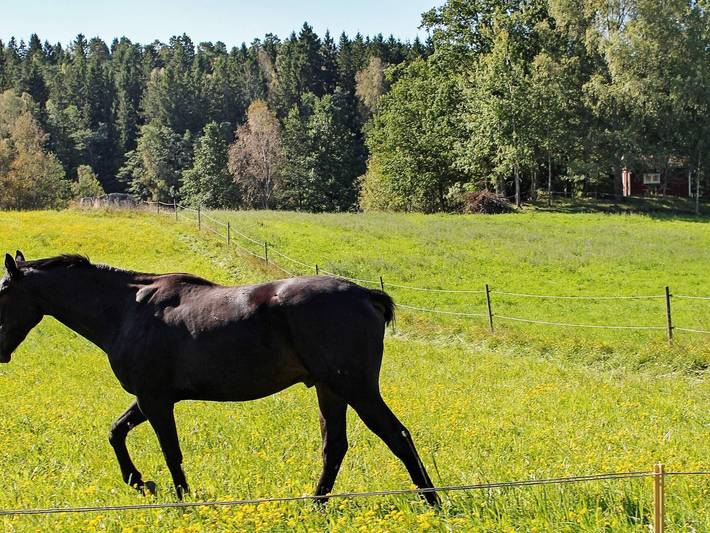 Ferienhaus für 6 Personen, mit Garten und Terrasse in Södermanland - 2