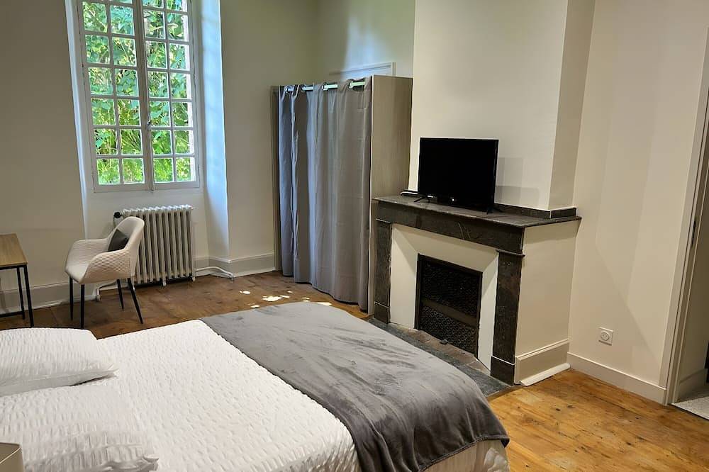 Entire apartment, Room \"Room 5\" with Shared Terrace, Shared Garden and Wi-Fi in Vic-en-Bigorre, Hautes-Pyrénées
