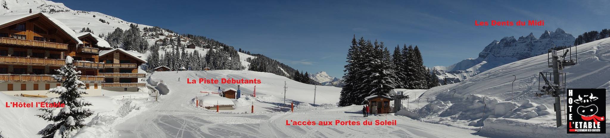 Hôtel L'Etable - Doppelzimmer mit Dorfblick in Les Crosets, Val-d'Illiez