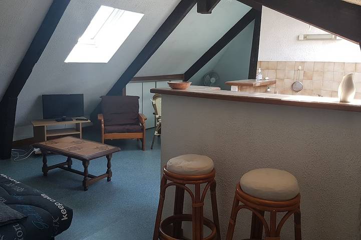 Appartement entier, Studio, près du port de plaisance de Vannes, pour 4 personnes in Vannes, Côte des Mégalithes
