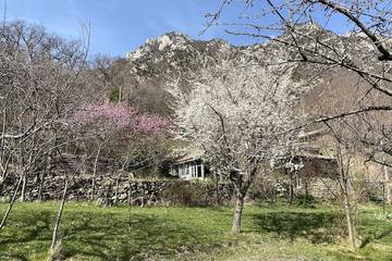 Gîte pour 6 personnes, avec jardin dans Forêt de Saoû