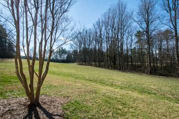 Vacation Home for 6 Guests in Blue Ridge Mountains, North Carolina, Picture 4