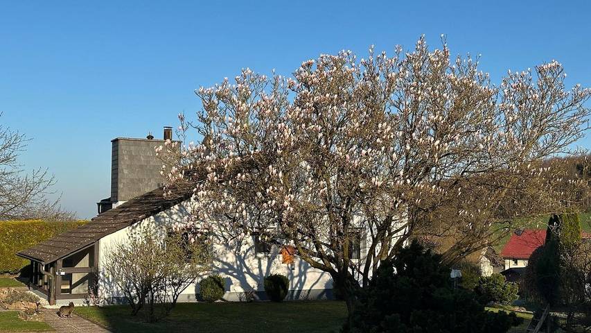 Ferienhaus für 4 Personen, mit Garten im Weserbergland - 2