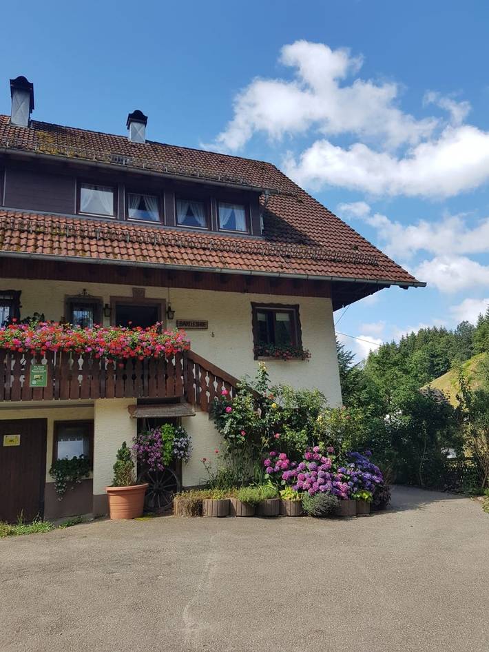 Ferienhaus für 2 Personen, mit Balkon/Terrasse und Garten sowie Pool in Mittlerer Schwarzwald - 3