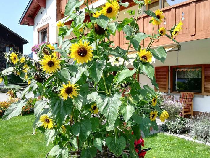 Ferienwohnung für 2 Personen, mit Garten und Balkon sowie Ausblick im Bregenzerwald