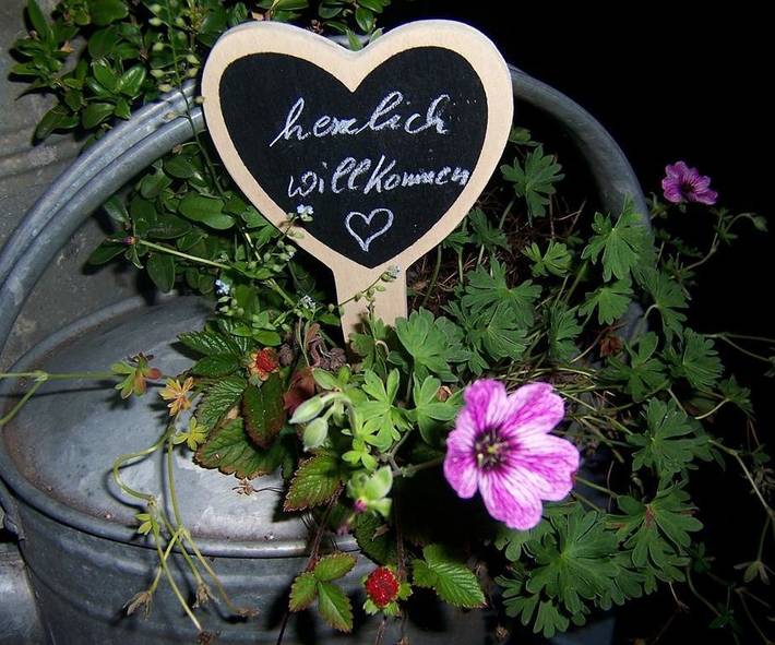 Ferienwohnung für 2 Personen, mit Garten in Hermannsburg - 3