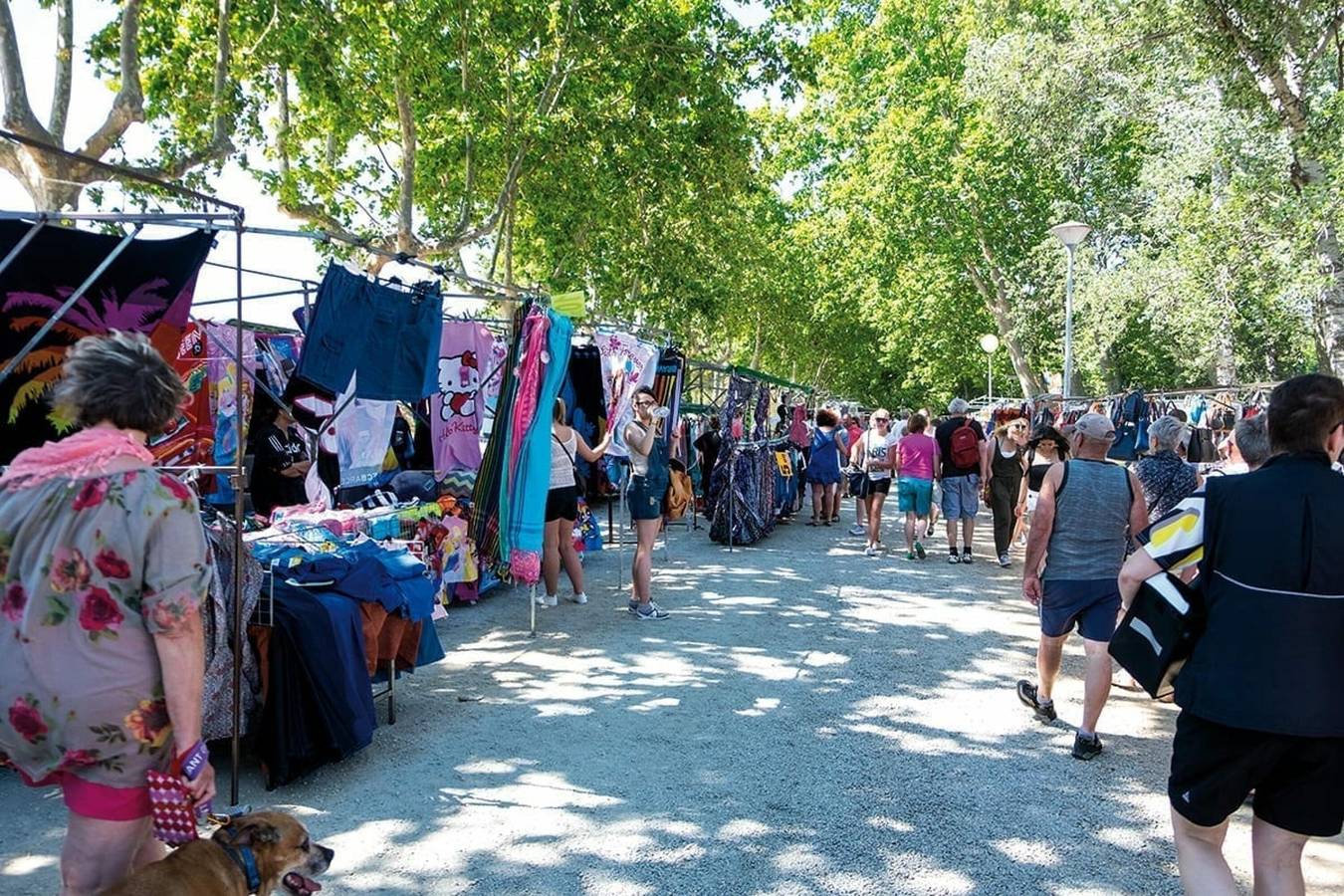 Haus Amfora 17 - Grill, Wifi, großes Grundstück, Parkplatz. Costa Brava in Sant Pere Pescador, Oberampurien